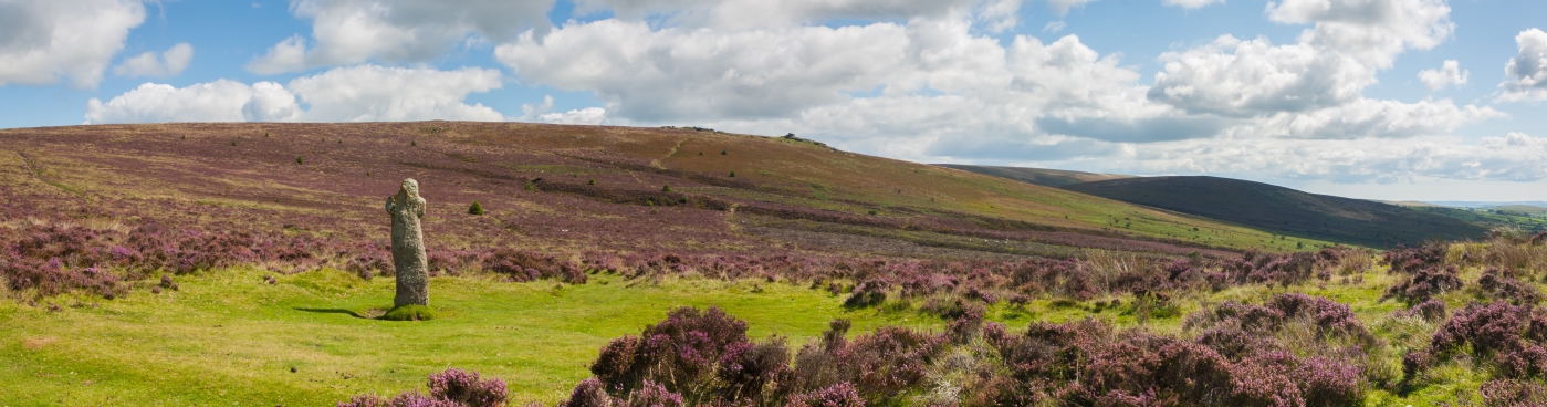 Dartmoor panorama